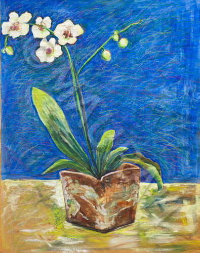 MAURAH ORCHID&Eacute;E AU FOND BLEU