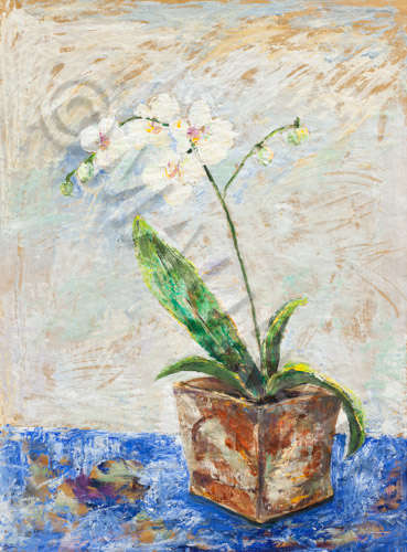 MAURAH ORCHID&Eacute;E SUR FOND BLANC